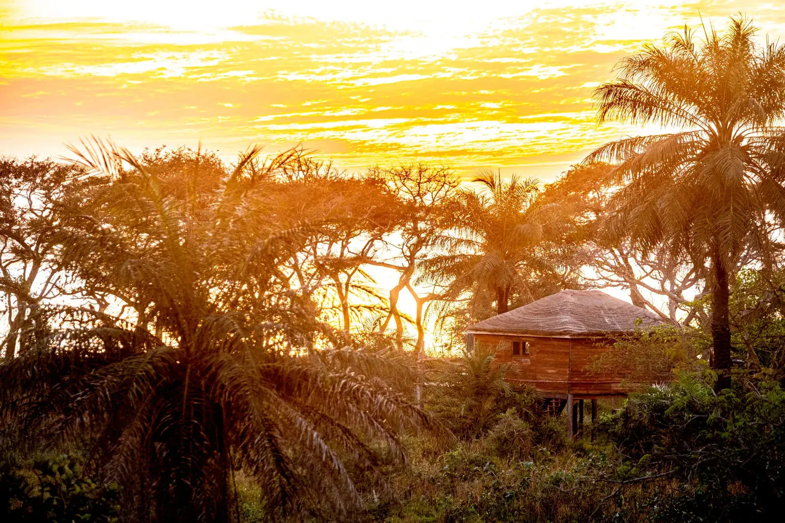 Sunset over the treehouse lodges at Mansa Musso, Sanyang Beach in The Gambia