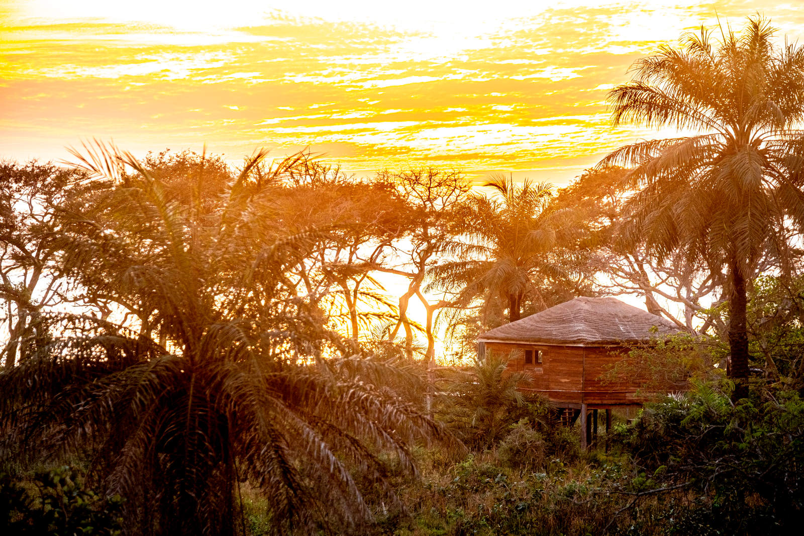 Sunset glow over a treehouse